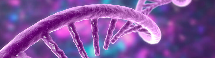 illustration ARN ©Dr Microbe - stock.adobe.com