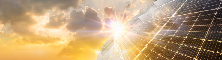 © MERCURY studio - adobe-stock.com