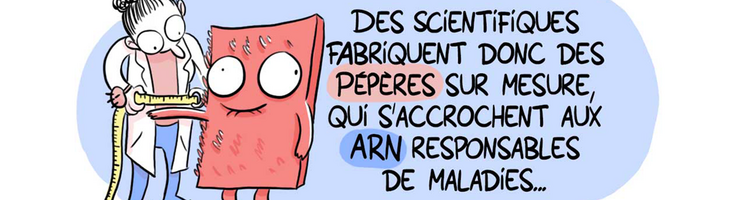 SynPPR, le scratch à ARN - Camille Van Belle pour le CNRS Alsace