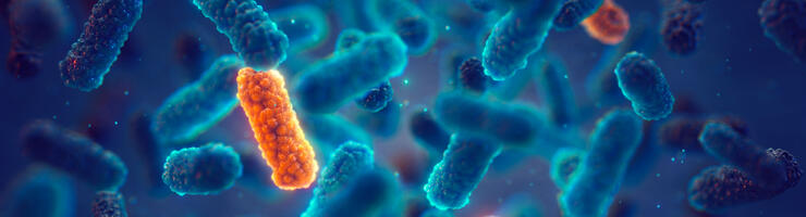 illustration de bactéries antibiorésistantes. Photo nobeastsofierce/stock.adobe.com