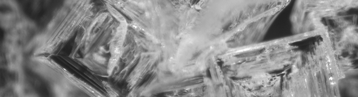 Cristaux de NaCl (chlorure de sodium, le sel de table classique) obtenus par évaporation lente d’une goutte d’eau salée © J. Trosseille / ILM