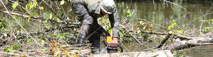 Dès l'entrée dans la rivière Warémapane, il a fallu scier un tronc.