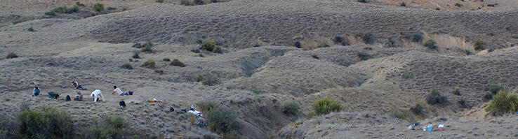 Zirinçlik (Azerbaïdjan): Camp mobile chalcolithique (ca. 4200-3500 av. n.è) ©MBA Catherine Marro