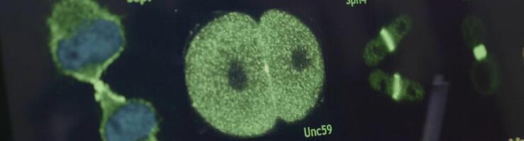 Extrait de la vidéo © CNRS 2025