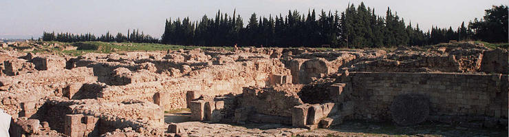 Palais royal d'Ougarit en 2006. Photo: Loris Romito