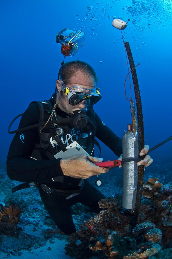 Pose de récepteurs dans l'une des passes de Fakarava