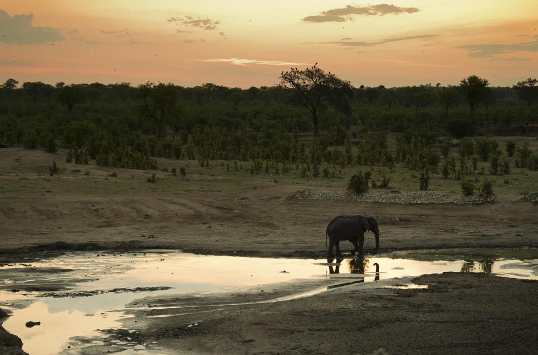 Parc de Hwange