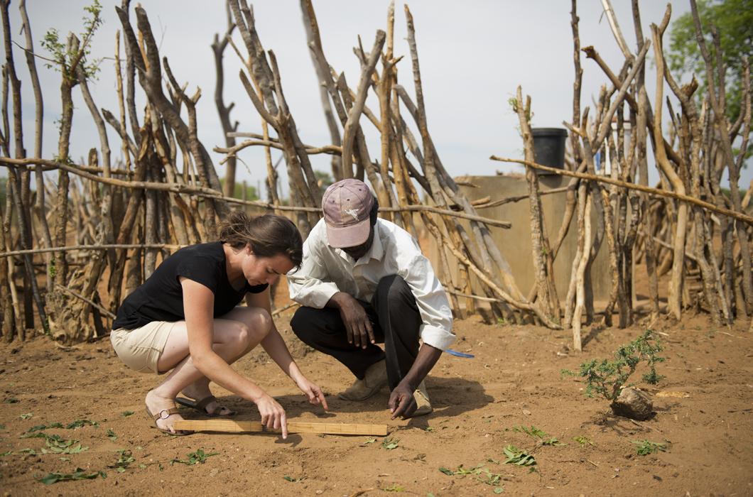 Champ du village de Magoli ravagé par les éléphants