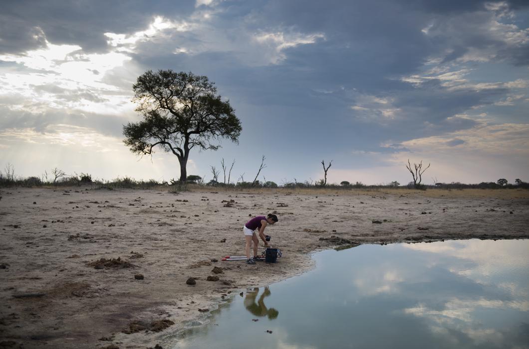 Parc de Hwange