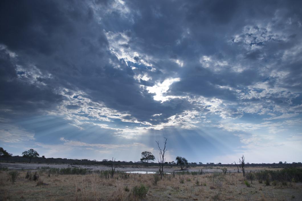 Parc de Hwange