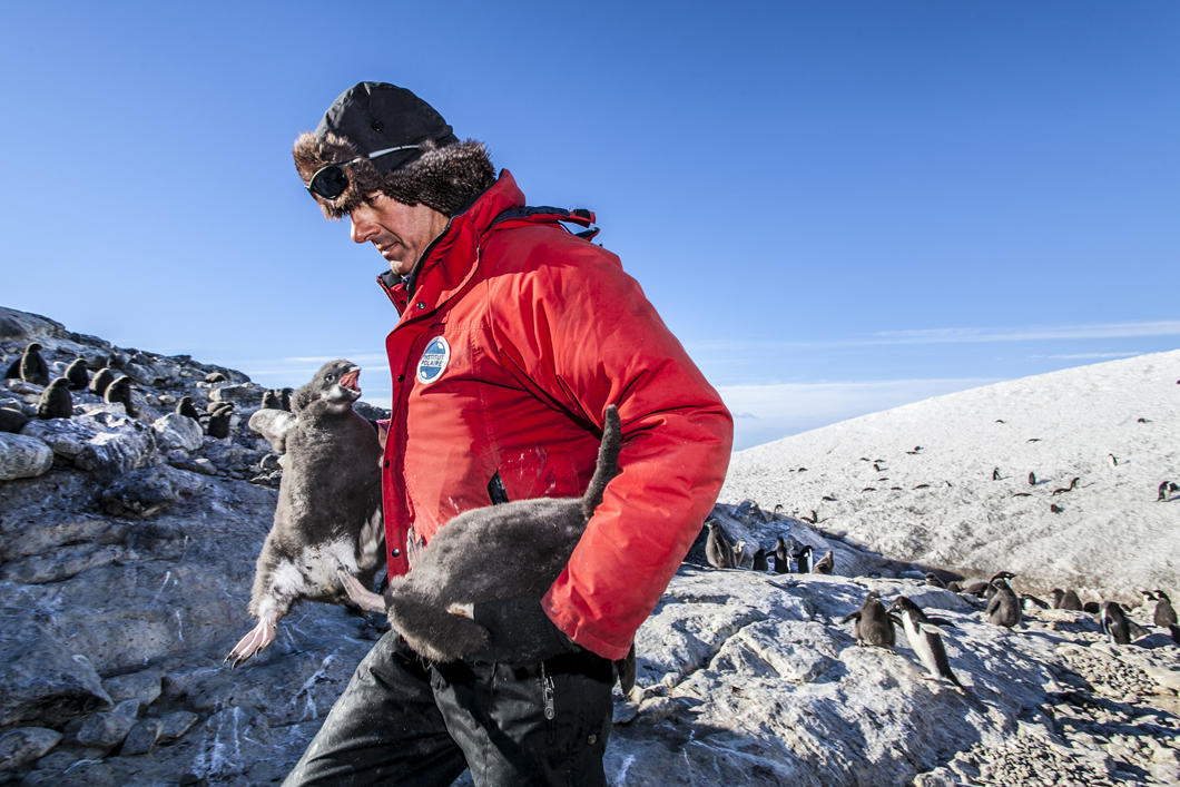 2015n00852hd.jpg?itok=n5PKFORZ