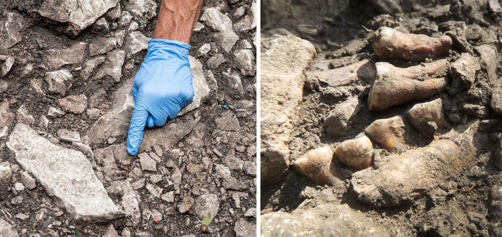 ©Hubert Raguet / CAGT / CNRS Images ; © Ludovic Slimak © Hubert Raguet / CAGT / CNRS Images ; © Ludovic Slimak