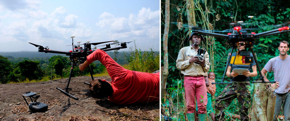 ©Raphaël Pélissier, IRD/AMAP ; © Vincent Droissart, IRD/AMAP © Raphaël Pélissier, IRD/AMAP ; © Vincent Droissart, IRD/AMAP