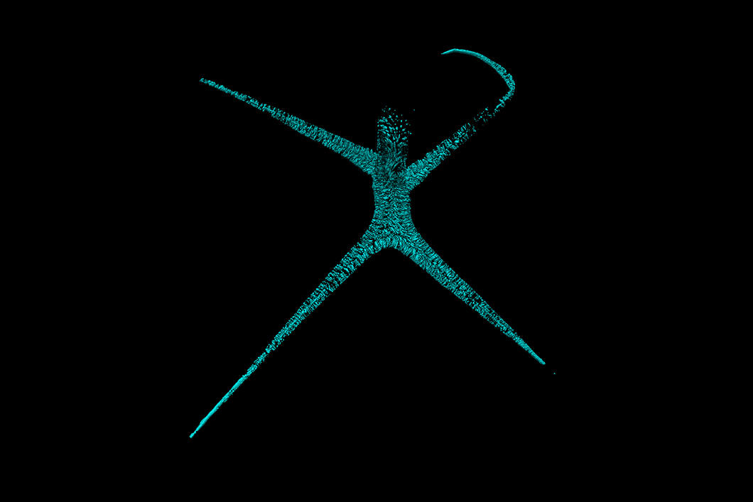 ©Elodie Noirot / DImaCell / CNRS / INRA