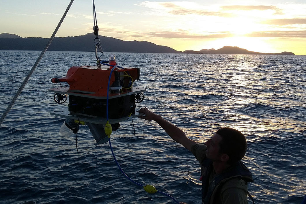 ©Bruno GAREL/ Agence française pour la biodiversité, CNRS, Université de Montpellier