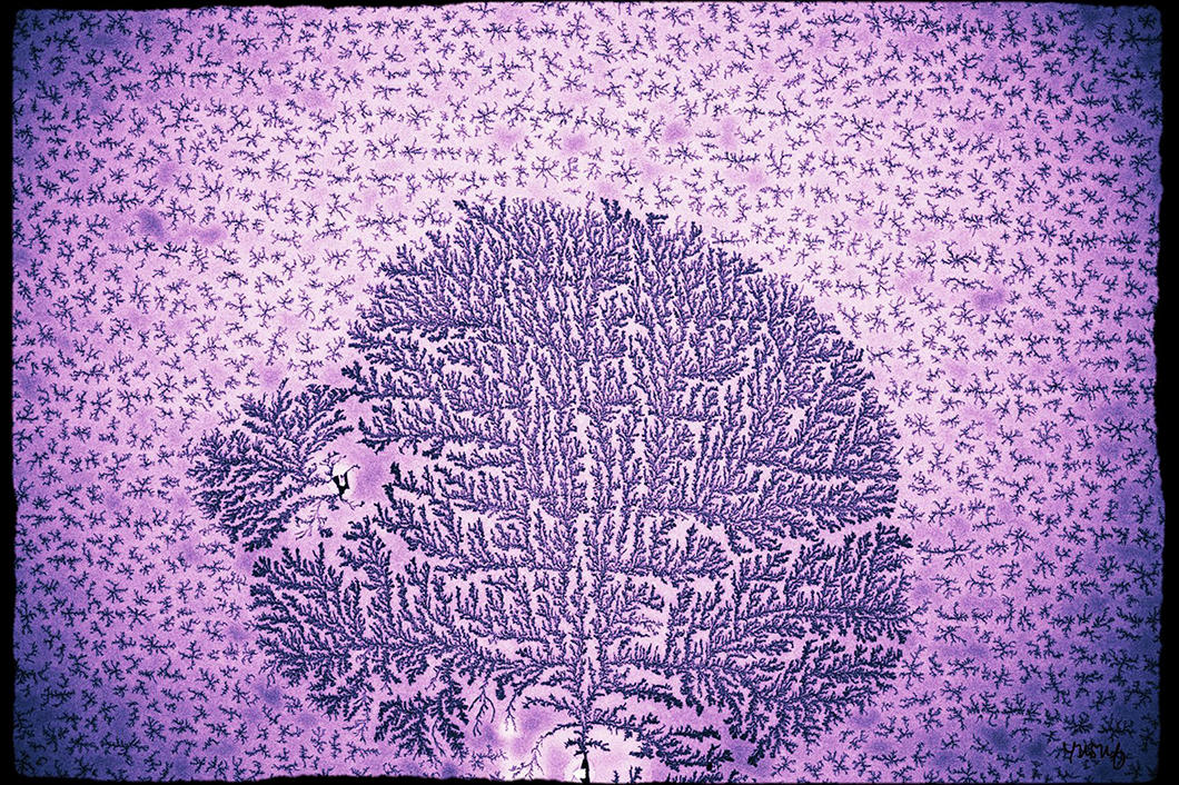 ©Meriem Bouchilaoun/ Laboratoire nanotechnologies et nanosystèmes (LN2)
