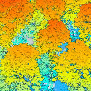 Image Lidar par Émilie Gallet-Moron (Edysan) et société Altoa