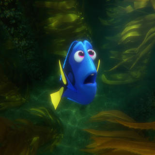 Le monde de Dory
