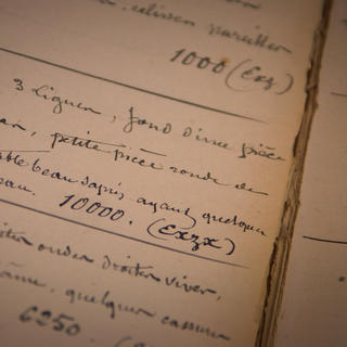 pages vieillies d'un livre de comptes ancien