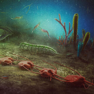 Christian McGall (Prehistorica Art)