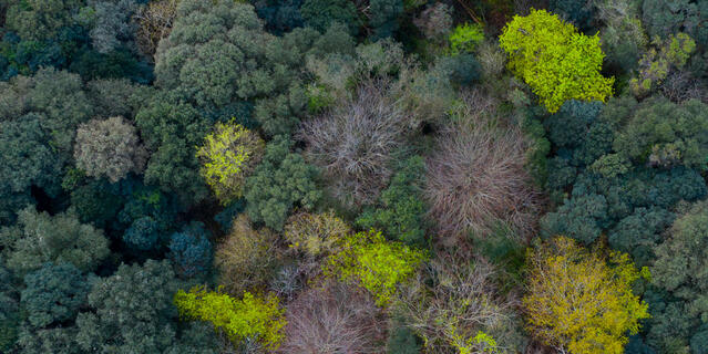 © Juan Carlos Munoz / naturepl.fr / EB Photo