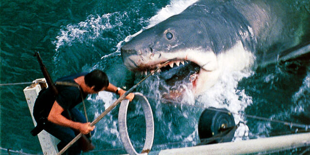 Image du film montrant le requin attaquant le bateau et le héros Martin Brody (Jaws, de S. Spielberg, 1975) © Universal - Zanuck-Brown / Collection ChristopheL