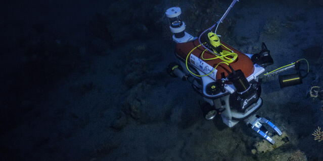Robot explorant une épave sous-marine