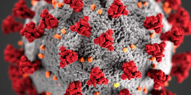 virus du Covid © CDC / Alissa Eckert, MSMI; Dan Higgins, MAMS
