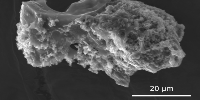 Le projet COMETOR a démarré peu avant 2010 avec la découverte d’une nouvelle famille de micrométéorites ultracarbonées (UCAMMs)