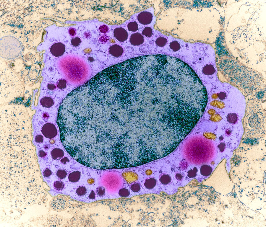 ©Science Photo Library © Science Photo Library