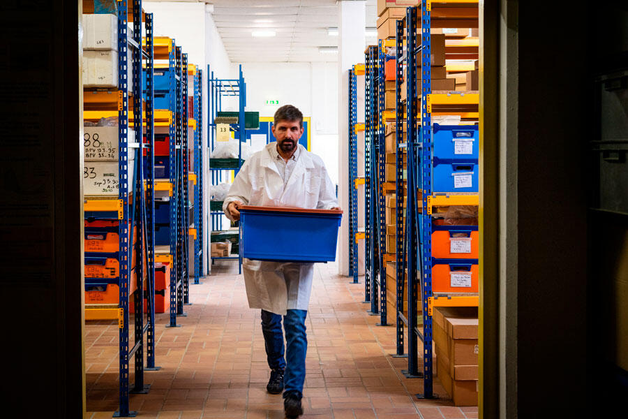 L’osthéothèque de Pessac, en Gironde