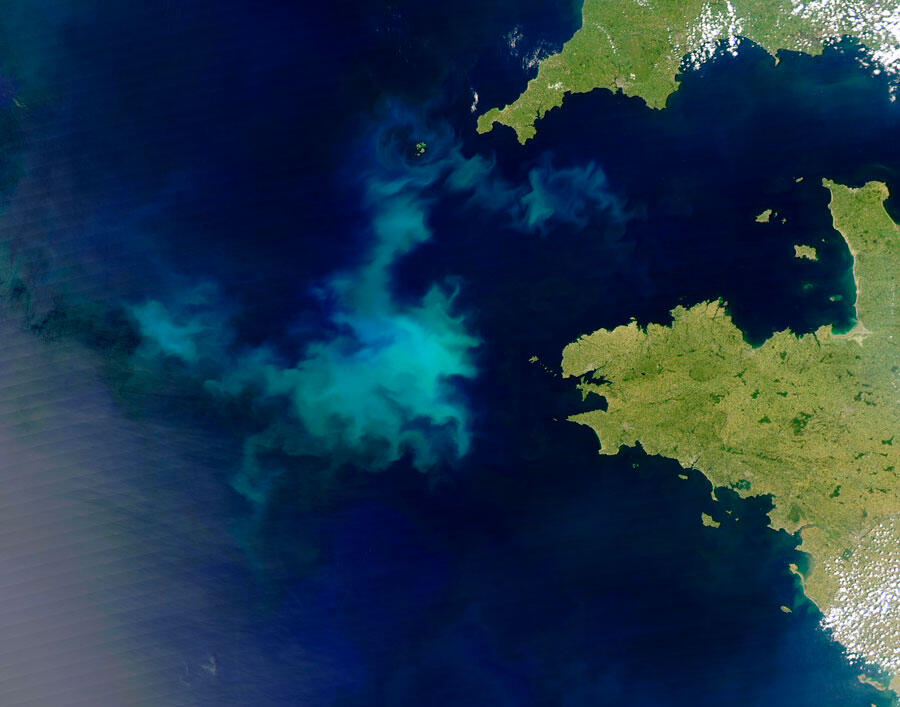 Floraison de coccolithophores au large de la Bretagne. Image Nasa/GSFC