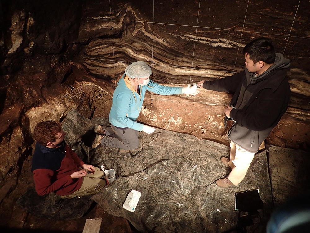 Collecte de sédiments dans la grotte de Denisova, en Sibérie, en juin 2021. 