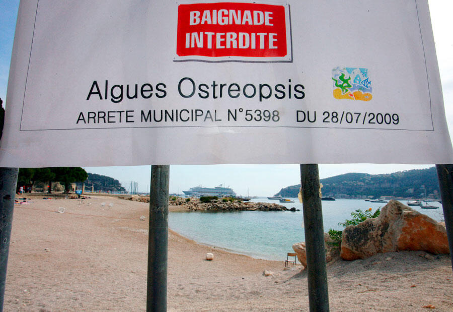Pancarte d’interdiction d’accès à une plage 
