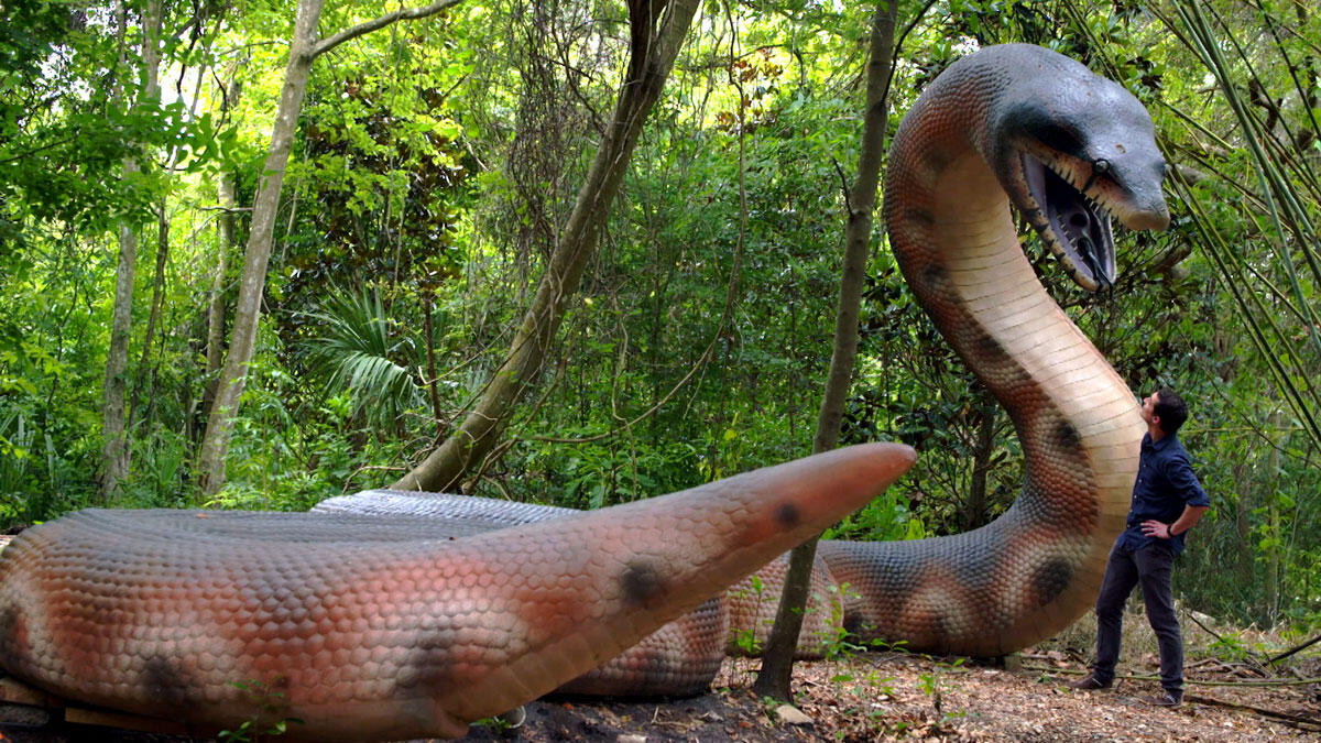 Rencontre virtuelle entre le scientifique Alex Hastings et un Titanoboa. Image extraite du documentaire «Le Mystère des géants disparus» © French Connection Films / Bérénice médias corp. / CNRS Images - 2018