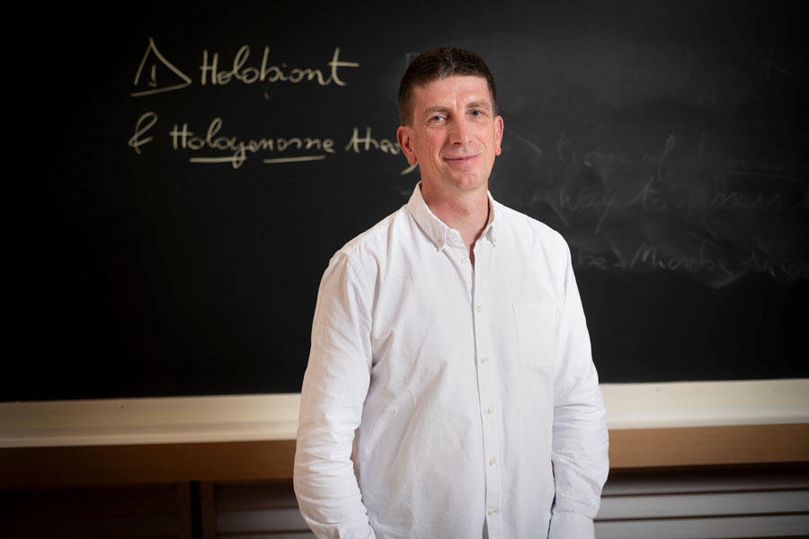 Philippe Vandenkoornhuyse, devant un tableau noir où est écrit holobionte