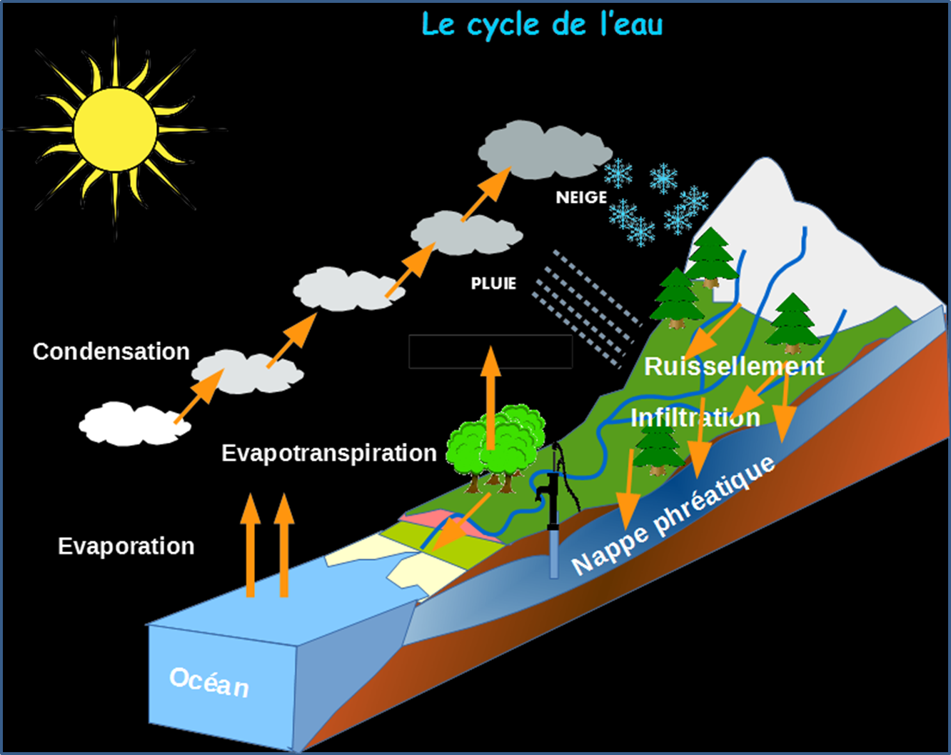 INFOGRAPHIE] Eau du robinet et eau en bouteille sur le ring de l'écologie