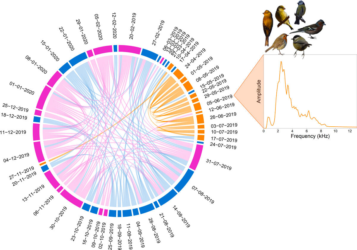 © 2024 de Baudouin, Couprie, Michaud, Haupert and Sueur. https://doi.org/10.3389/fevo.2024.1334776