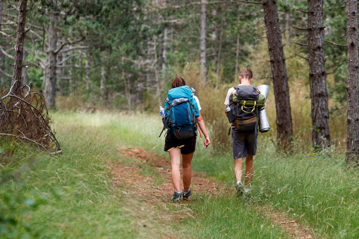 Un couple de randonneurs en forêt