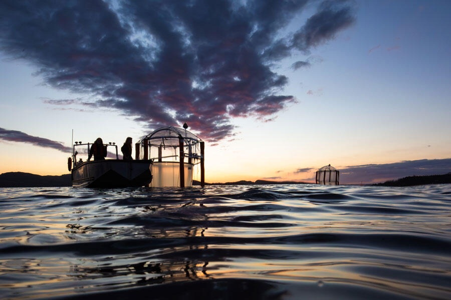 Photo d'un mésocosme de Bergen (Norvège) prise lors d'une étude comparant les effets d'une augmentation de l'alcalinité océanique sur les larves de poissons selon qu'elle est due aux silicates ou aux carbonates. 