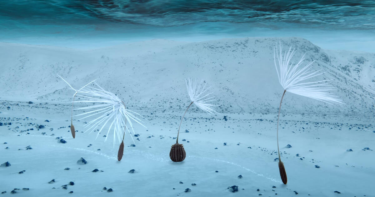 « Planètes », un film du CNRS en ode au vivant