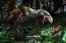 Gastornis gigantea  © Jaime Chirinos / SPL