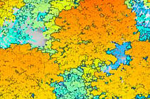 Image Lidar par Émilie Gallet-Moron (Edysan) et société Altoa