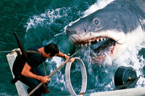 Image du film montrant le requin attaquant le bateau et le héros Martin Brody (Jaws, de S. Spielberg, 1975) © Universal - Zanuck-Brown / Collection ChristopheL