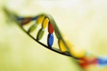 Médecine prédictive, hélices d’ADN