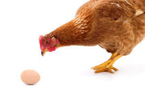 Photo Olha_stock / iStock.com