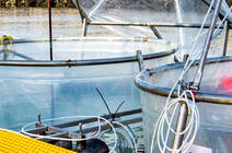 ©Michael Sswat, GEOMAR Un chercheur effectue des prélèvements à Helgoland (Allemagne) dans le cadre d'une étude sur l'effet d'une augmentation de l'alcalinité océanique sur le plancton de la mer du Nord.