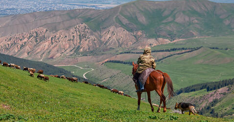 Paysage du Kirghizstan © Sea_Inside_Soul / stock.adobe.com