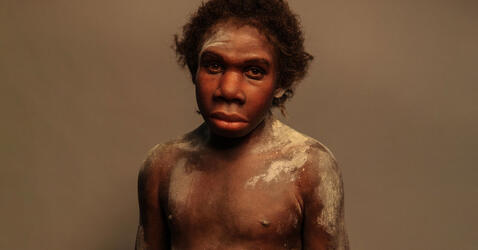 Reconstitution d’un Homo ergaster, « Turkana Boy » par Elisabeth Daynes.