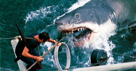 Image du film montrant le requin attaquant le bateau et le héros Martin Brody (Jaws, de S. Spielberg, 1975) © Universal - Zanuck-Brown / Collection ChristopheL